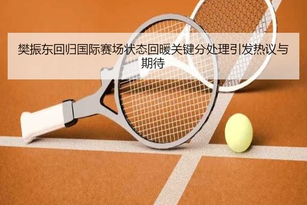 樊振东回归国际赛场状态回暖关键分处理引发热议与期待